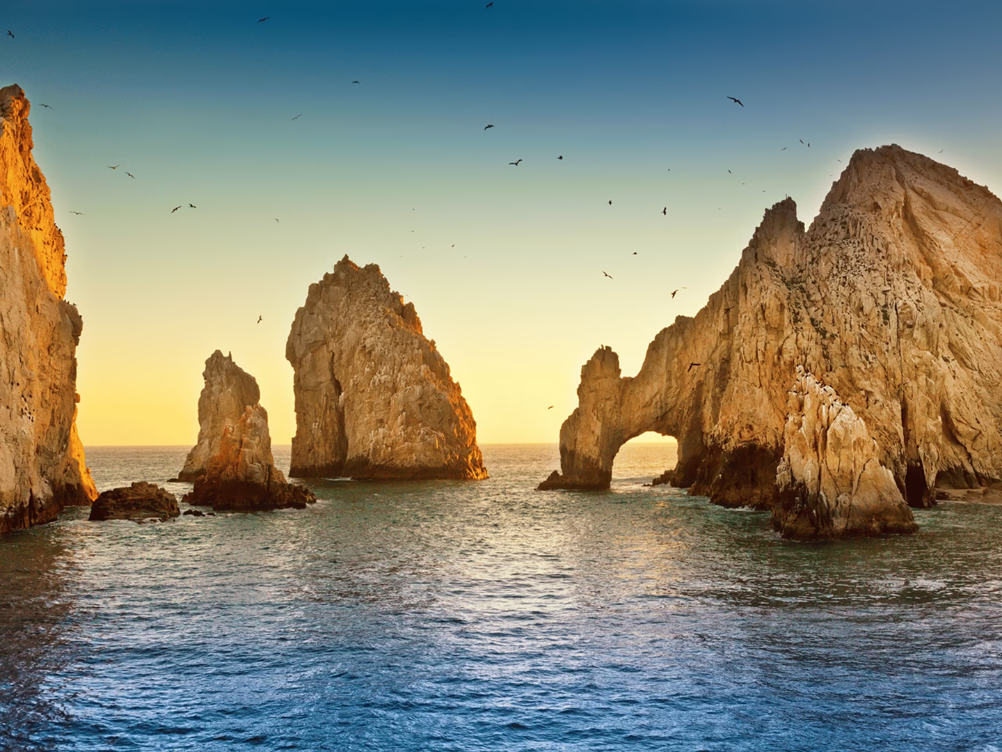 Background Section 1